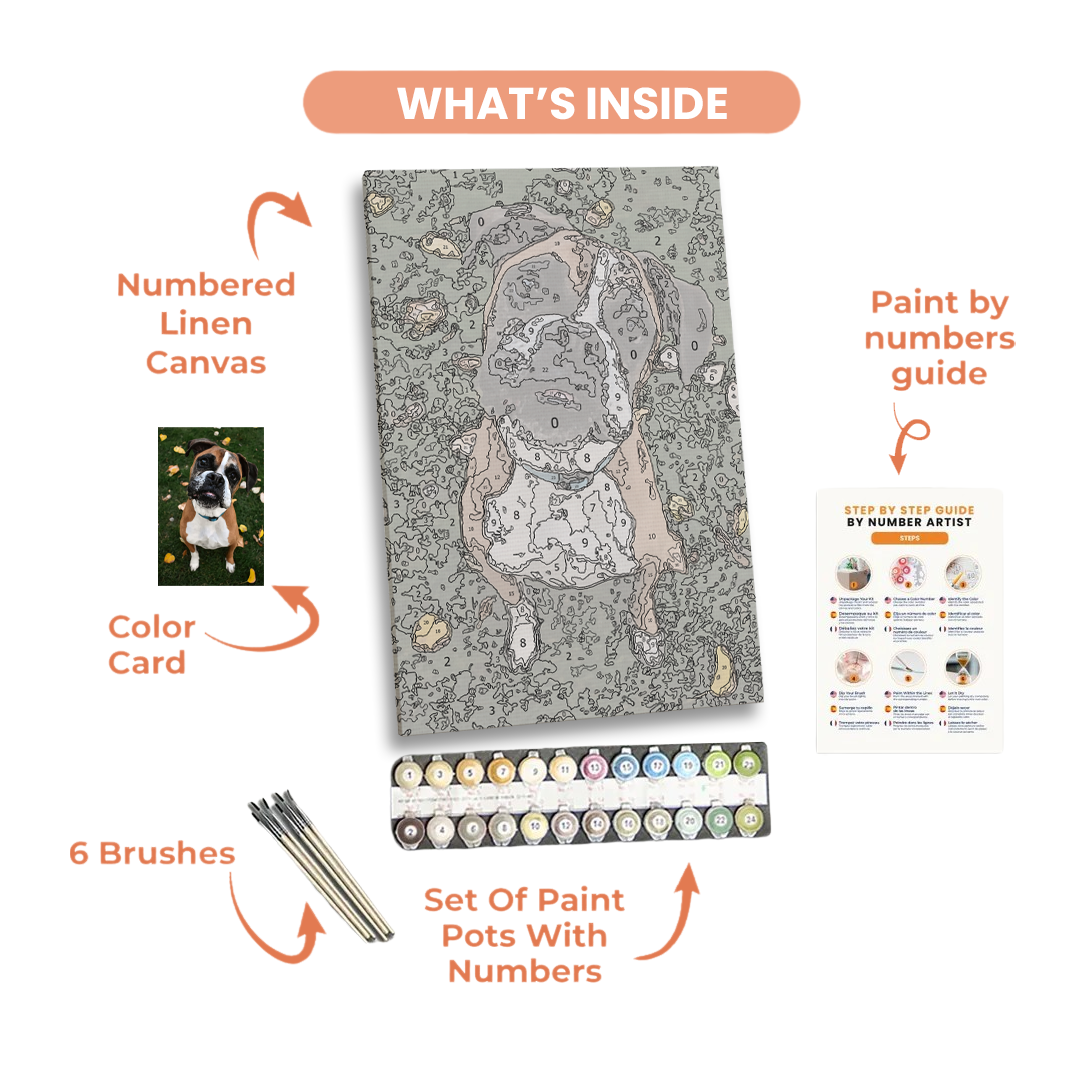 Custom Paint by Numbers Kit