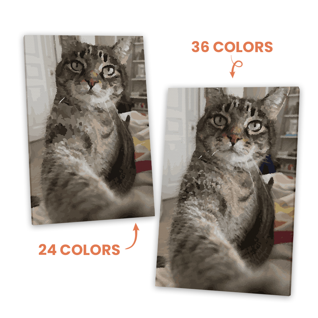 Custom Paint by Numbers Kit